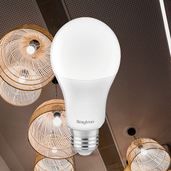 Braytron Sparpack 10 X E27 16W LED Glühbirne, Leuchtmittel, Birne, Kaltweiß, Lampe, Ersetzt 100W, sehr hell, 1620 Lumen, 4000 oder 6500 Kelvin, nicht dimmbar (Neutralweiß 4000K) – Ansicht 2